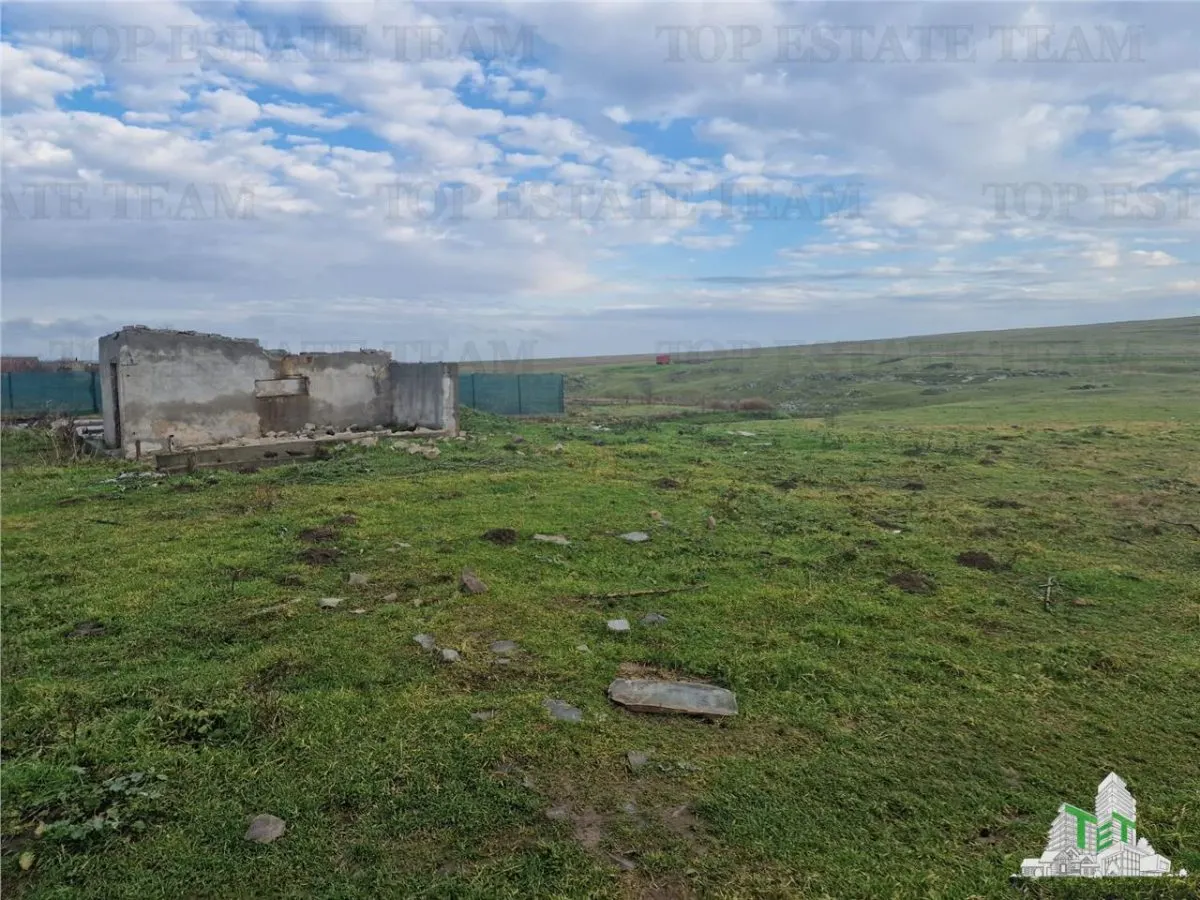 Development Land 4,500 m² Cogealac - foto 7