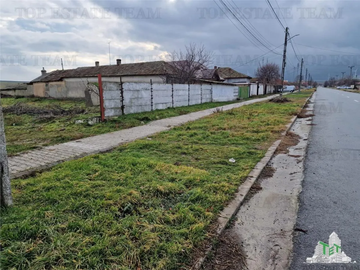 Development Land 4,500 m² Cogealac - foto 8