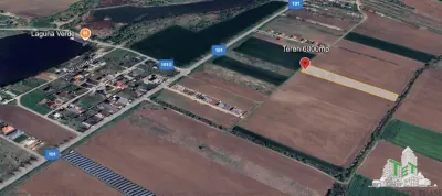 Terrain Résidentiel 6 000 m², Moara Vlasiei - Moara Vlasiei