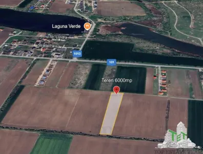 Terrain Résidentiel 6 000 m², Moara Vlasiei - foto 2