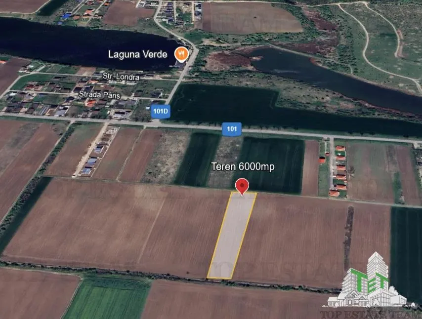 Terrain Résidentiel 6 000 m², Moara Vlasiei - foto 2