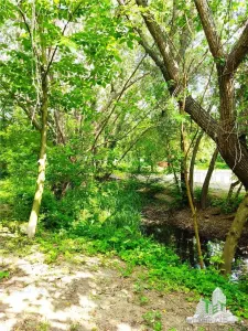 Villa de 7 Dormitorios 300 mpu + Terreno 2000 mpu – Giulesti, Sector 6 - foto 3