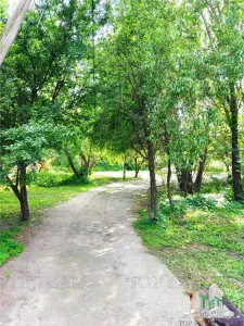 Villa de 7 Dormitorios 300 mpu + Terreno 2000 mpu – Giulesti, Sector 6 - foto 5
