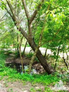 Villa de 7 Dormitorios 300 mpu + Terreno 2000 mpu – Giulesti, Sector 6 - foto 6