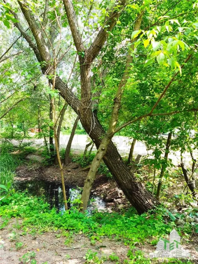 Villa de 7 Dormitorios 300 mpu + Terreno 2000 mpu – Giulesti, Sector 6 - foto 6