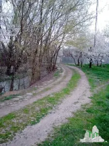 Villa de 7 Dormitorios 300 mpu + Terreno 2000 mpu – Giulesti, Sector 6 - foto 8