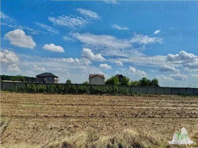Subdivided Land Plot with Utilities near Forest in Frumusani, Calarasi - Frumusani
