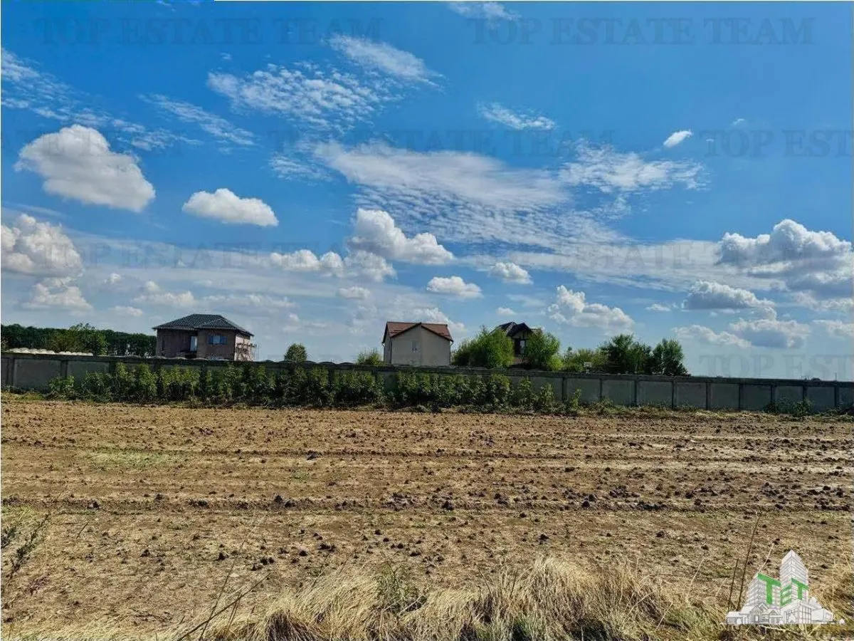 Terreno Subdividido con Servicios cerca del Bosque en Frumusani, Calarasi - foto 1