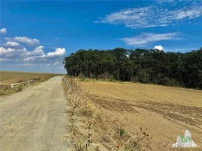 Terreno Subdividido con Servicios cerca del Bosque en Frumusani, Calarasi - foto 2