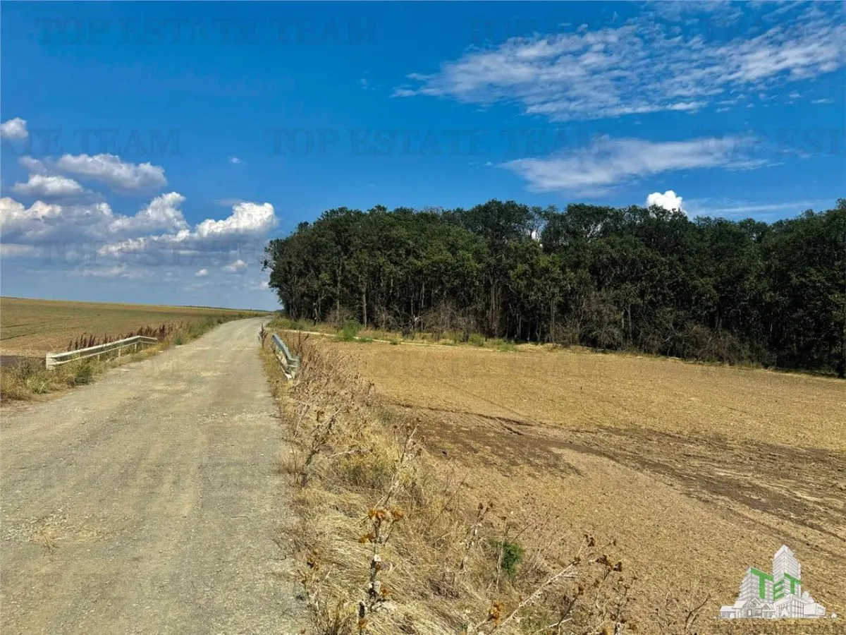 Terreno Subdividido con Servicios cerca del Bosque en Frumusani, Calarasi - foto 2