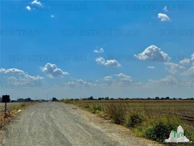 Terreno Subdividido con Servicios cerca del Bosque en Frumusani, Calarasi - foto 4