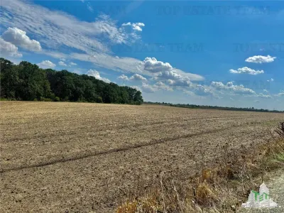 Terreno Subdividido con Servicios cerca del Bosque en Frumusani, Calarasi - foto 5
