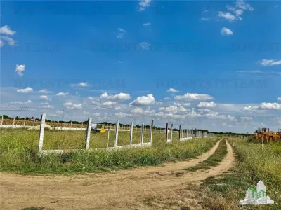 64-Plot Subdivided Land for Sale – Investment Opportunity, Frumusani, Calarasi - Frumusani