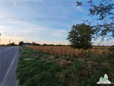 Terreno Edificable con Doble Acceso, 2.965 m², Todas las Utilidades, 1 Decembrie - foto 4