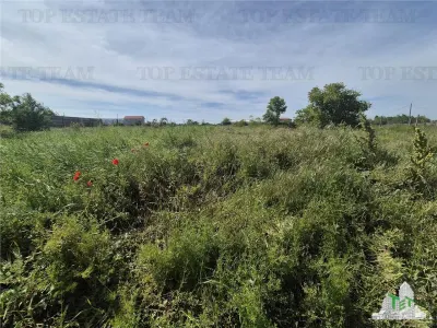 Serviced Land Plot Viile Noi - km5 - foto 5