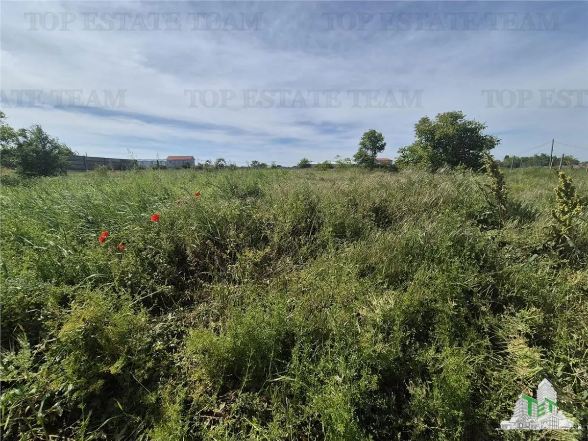 Serviced Land Plot Viile Noi - km5 - foto 5