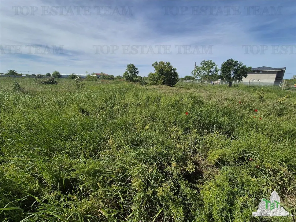 Serviced Land Plot Viile Noi - km5 - foto 6