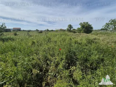 Serviced Land Plot Viile Noi - km5 - foto 7