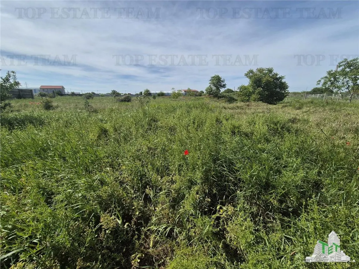 Serviced Land Plot Viile Noi - km5 - foto 7