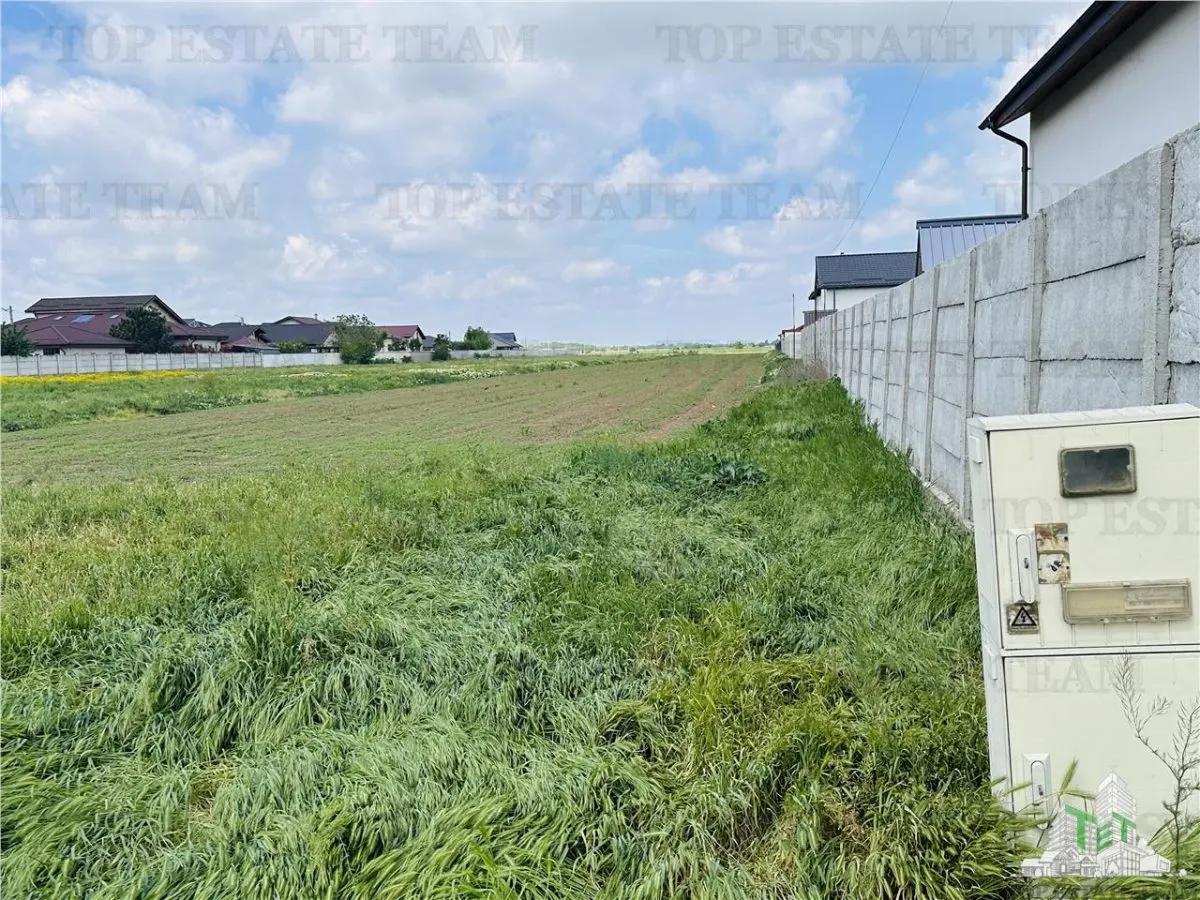 Terreno Residencial 1.7 ha Dragomiresti Vale-Zurbaua, Frente 34m Vía Asfaltada - foto 3