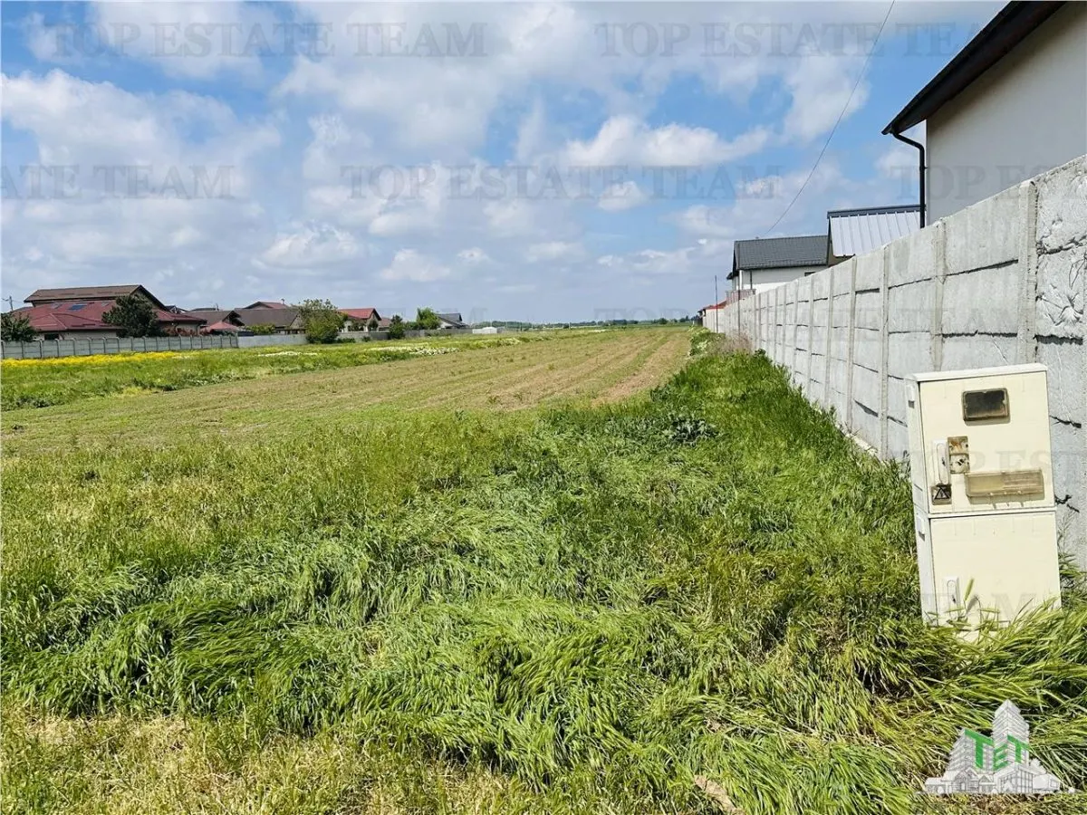 Terreno Residencial 1.7 ha Dragomiresti Vale-Zurbaua, Frente 34m Vía Asfaltada - foto 7