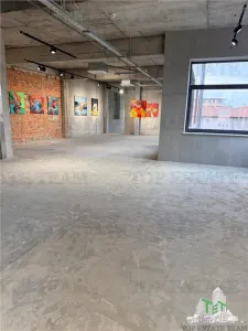 Building to Let in Floreasca/Dorobanți - foto 15