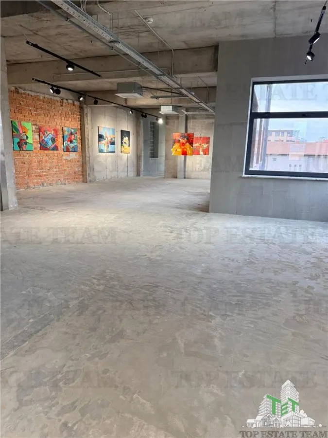 Building to Let in Floreasca/Dorobanți - foto 15