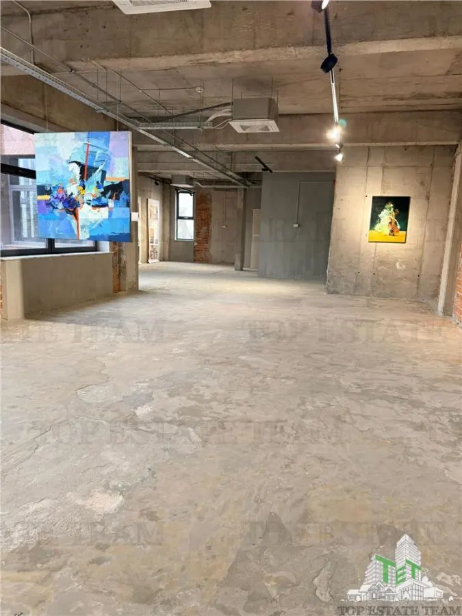 Building to Let in Floreasca/Dorobanți - foto 17