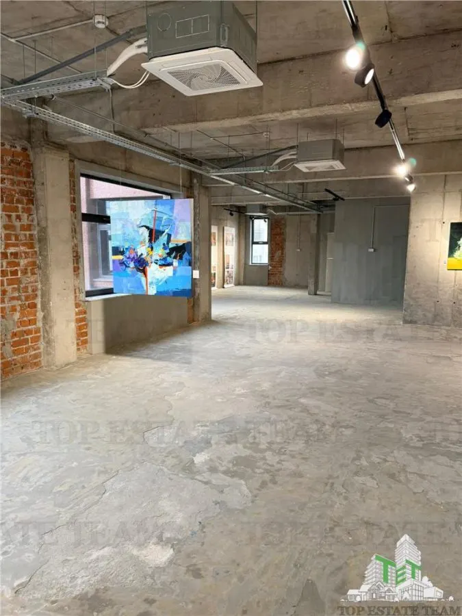 Building to Let in Floreasca/Dorobanți - foto 8