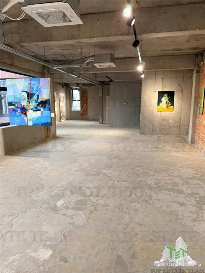 Building to Let in Floreasca/Dorobanți - foto 9