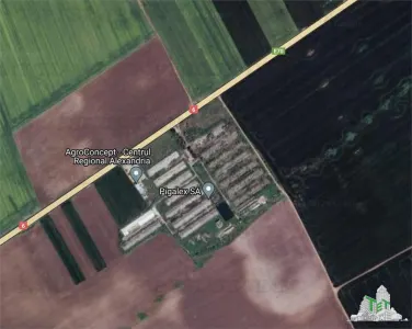 Land for sale 40370 sqm in Alexandria, Est area - foto 4