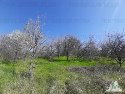 4,000 sqm Development Land with Demolition House in Bragadiru/Varteju, Magurele - Varteju