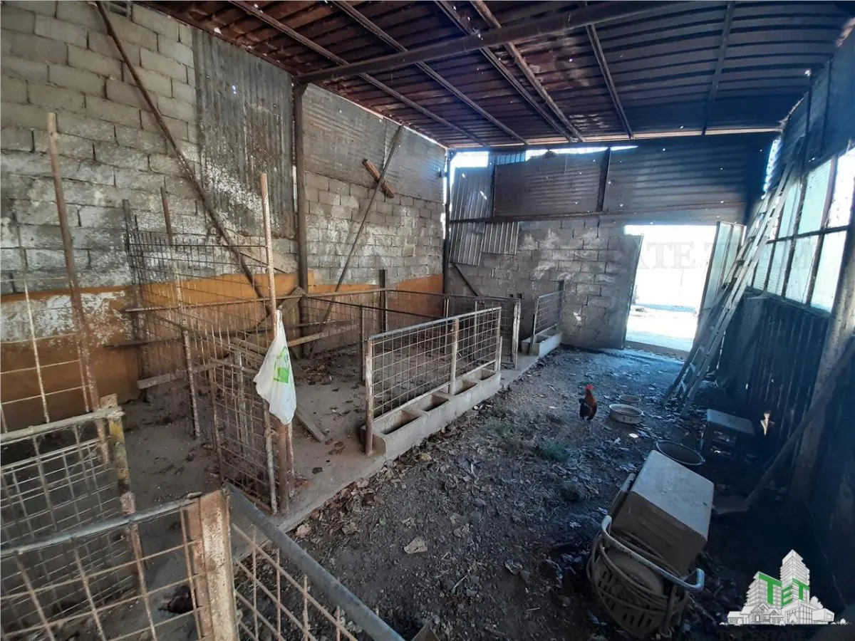 Terrain 4 000 m² avec Maison à Démolir à Bragadiru/Varteju, Magurele - foto 13