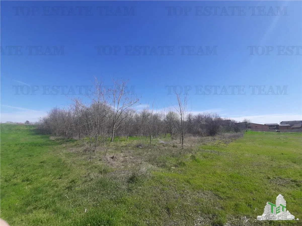 Terrain 4 000 m² avec Maison à Démolir à Bragadiru/Varteju, Magurele - foto 4