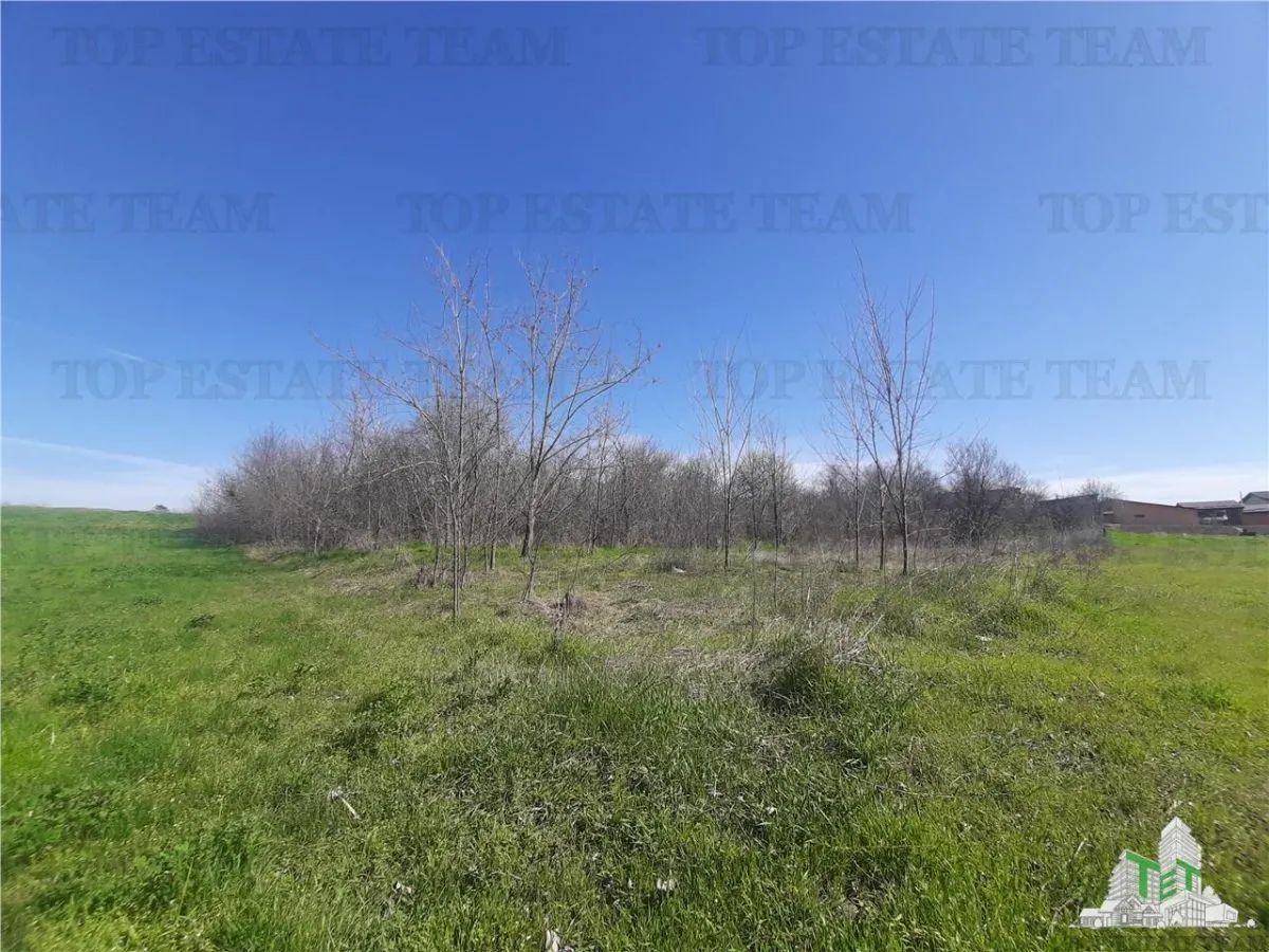 Terrain 4 000 m² avec Maison à Démolir à Bragadiru/Varteju, Magurele - foto 7