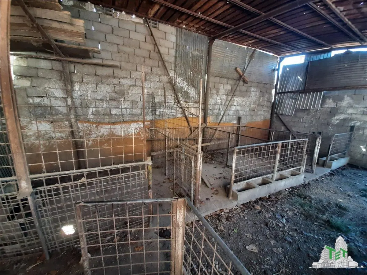 Terrain 4 000 m² avec Maison à Démolir à Bragadiru/Varteju, Magurele - foto 9