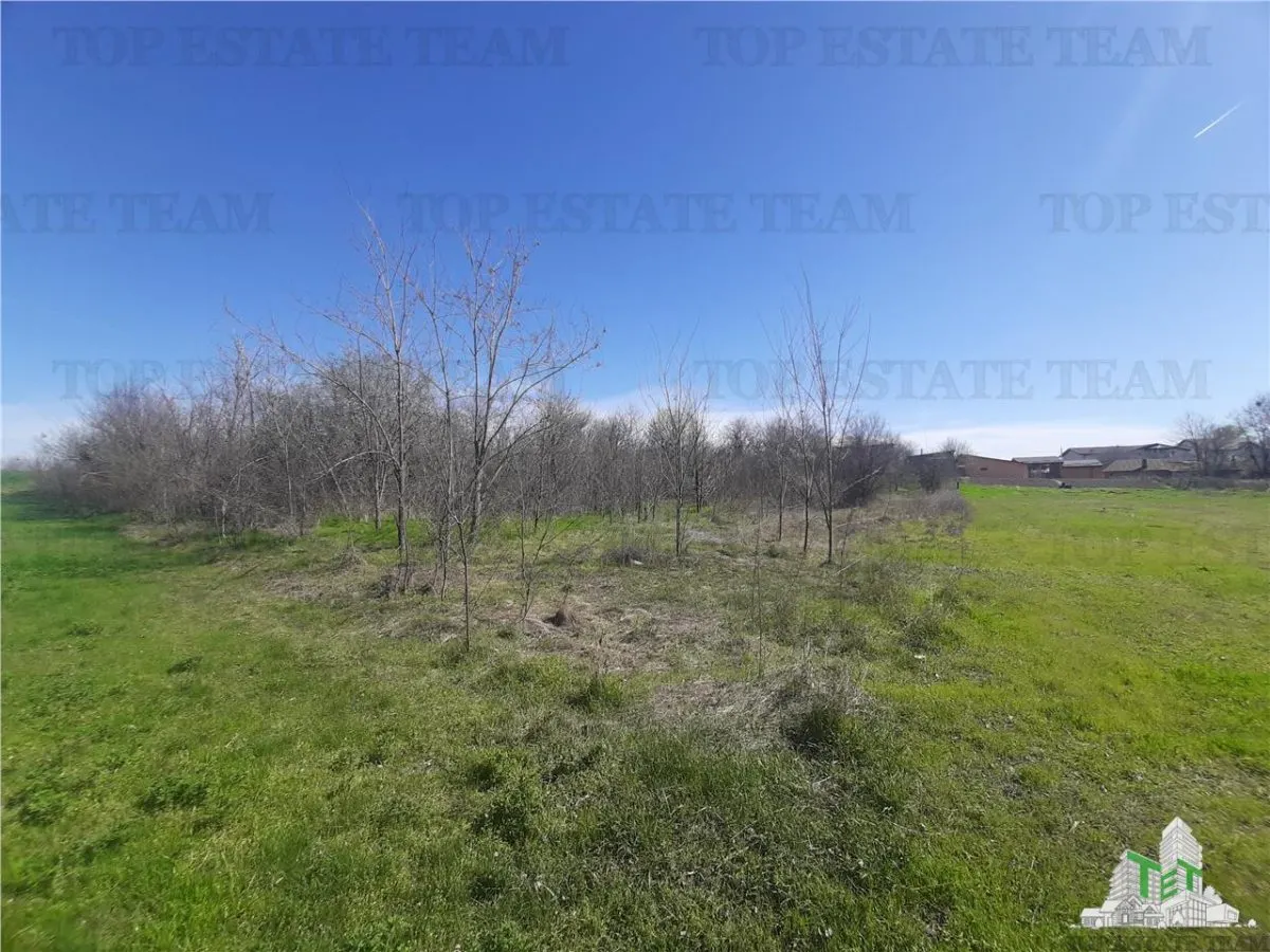 Terrain 4 000 m² avec Maison à Démolir à Bragadiru/Varteju, Magurele - foto 10