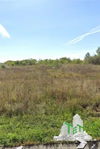 Industrial Space for Sale in Otopeni with 59,900 sqm Land - foto 4