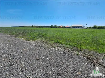Land Plots for Sale in Branesti/Vadu Anei, Ilfov - Branesti
