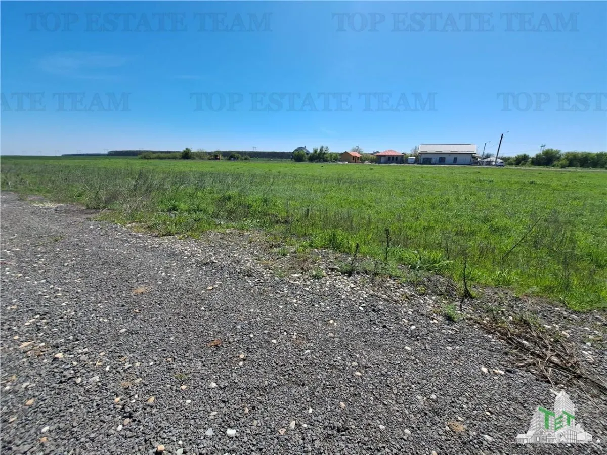 Land Plots for Sale in Branesti/Vadu Anei, Ilfov - foto 1