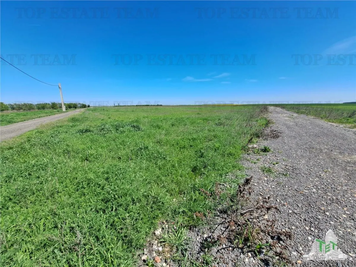 Land Plots for Sale in Branesti/Vadu Anei, Ilfov - foto 2