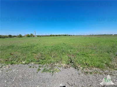 Land Plots for Sale in Branesti/Vadu Anei, Ilfov - foto 11