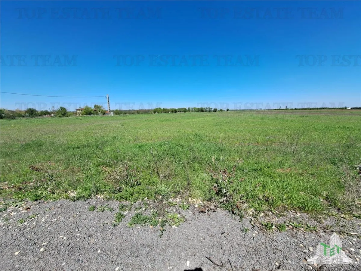 Land Plots for Sale in Branesti/Vadu Anei, Ilfov - foto 11