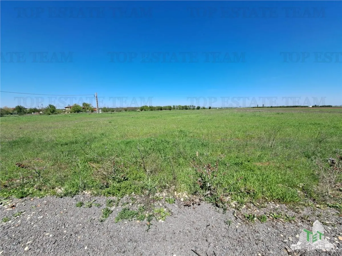 Land Plots for Sale in Branesti/Vadu Anei, Ilfov - foto 12