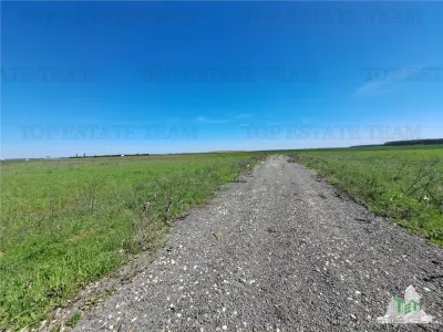 Land Plots for Sale in Branesti/Vadu Anei, Ilfov - foto 13