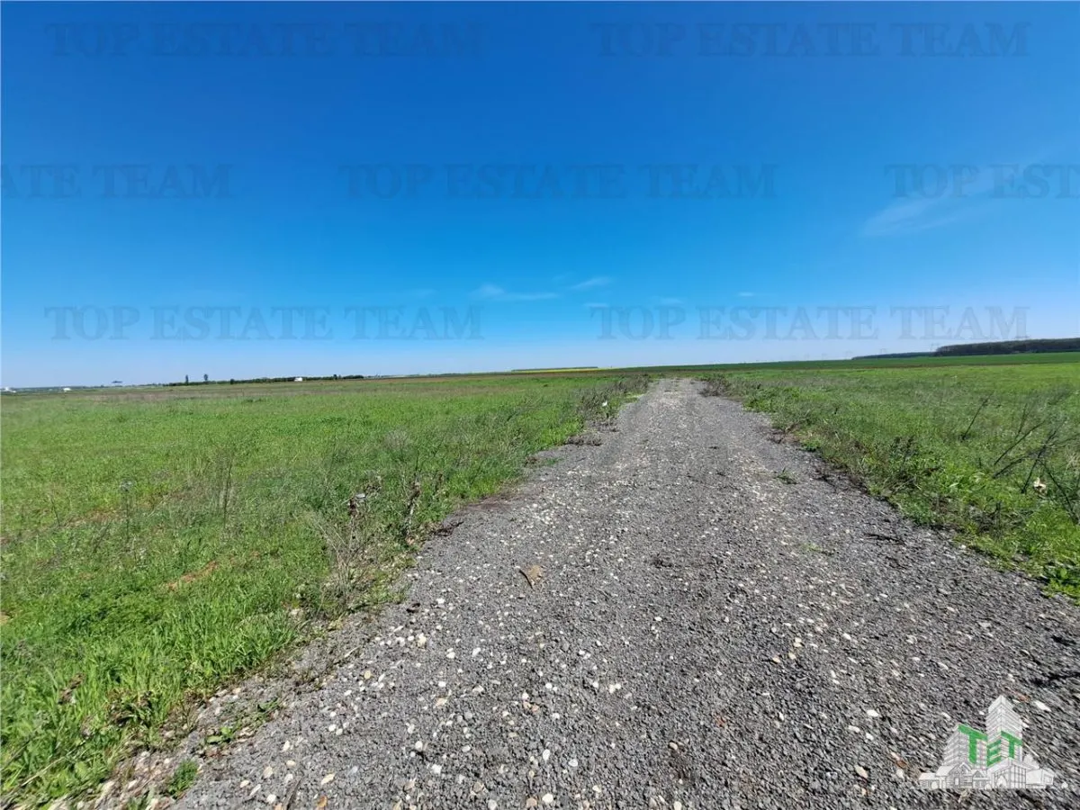 Land Plots for Sale in Branesti/Vadu Anei, Ilfov - foto 13