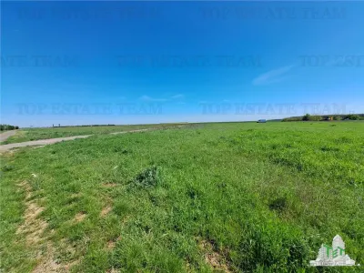 Land Plots for Sale in Branesti/Vadu Anei, Ilfov - foto 3