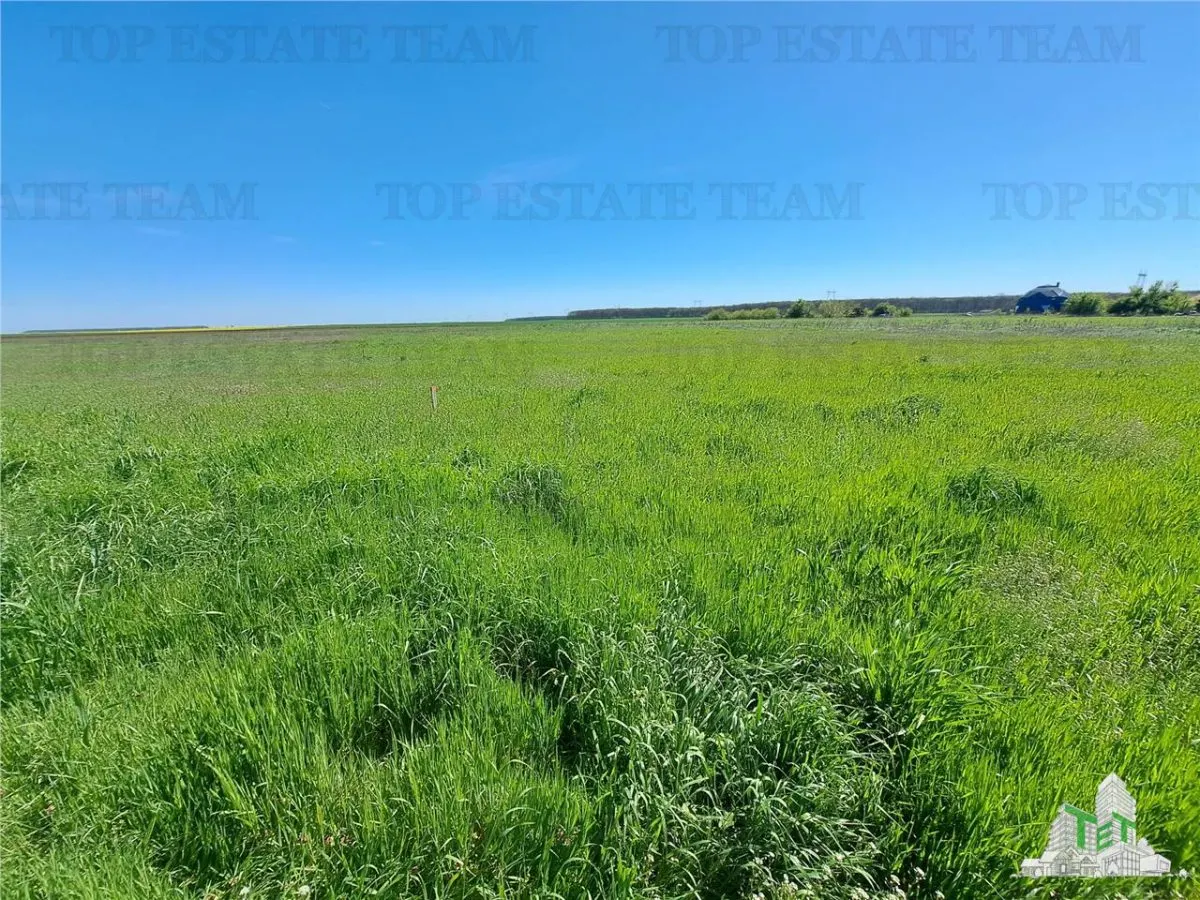 Land Plots for Sale in Branesti/Vadu Anei, Ilfov - foto 6