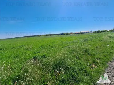 Land Plots for Sale in Branesti/Vadu Anei, Ilfov - foto 7