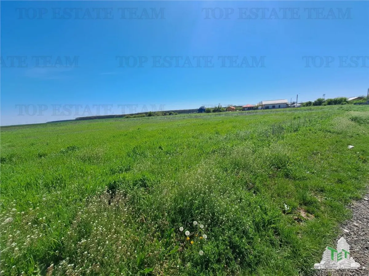 Land Plots for Sale in Branesti/Vadu Anei, Ilfov - foto 7